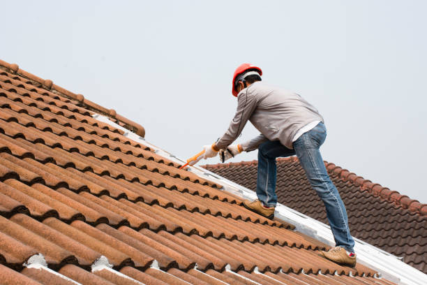 Best Emergency Roof Repair Services  in Fort Recovery, OH